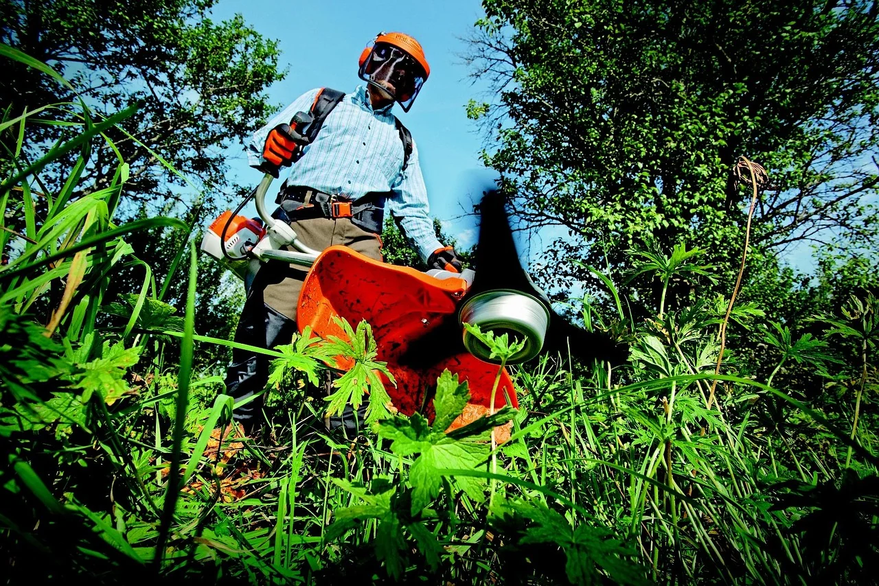 Arizona desert landscaping and maintenance